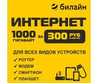 Билайн 1 Тб. за 300 руб./мес.