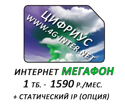 Мегафон 1 Тб.  (статический IP - опция)