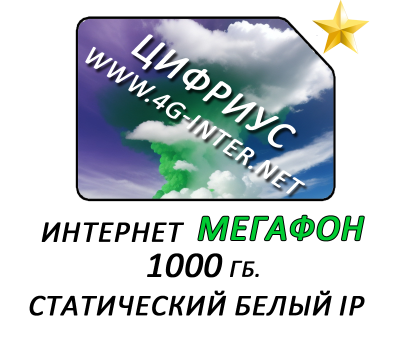 Мегафон 1 Тб.  (+статический белый IP)